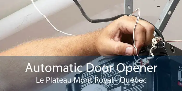 Automatic Door Opener Le Plateau Mont Royal - Quebec