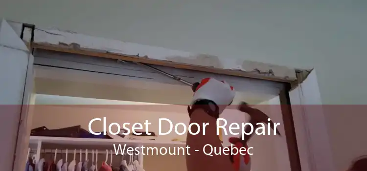 Closet Door Repair Westmount - Quebec