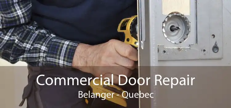 Commercial Door Repair Belanger - Quebec