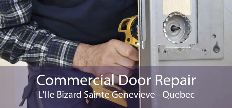 Commercial Door Repair L'Ile Bizard Sainte Genevieve - Quebec