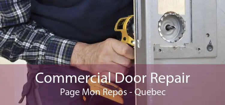 Commercial Door Repair Page Mon Repos - Quebec