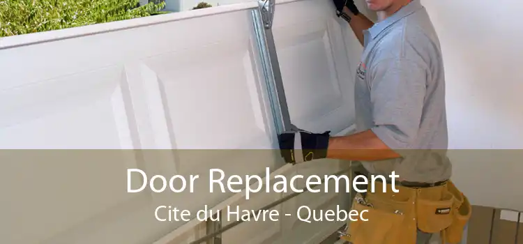 Door Replacement Cite du Havre - Quebec