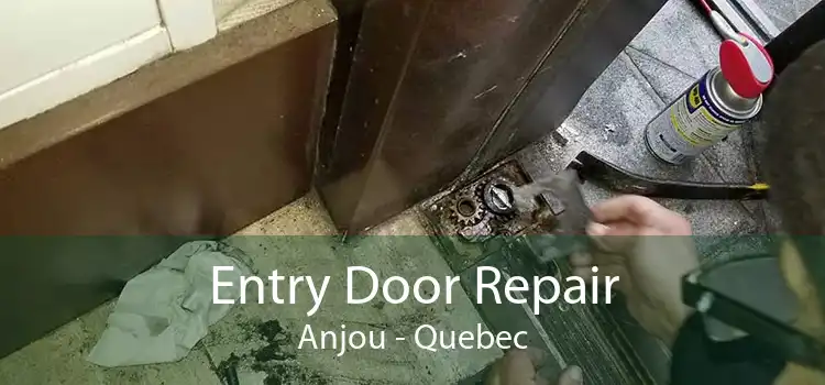 Entry Door Repair Anjou - Quebec