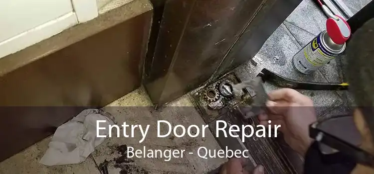 Entry Door Repair Belanger - Quebec