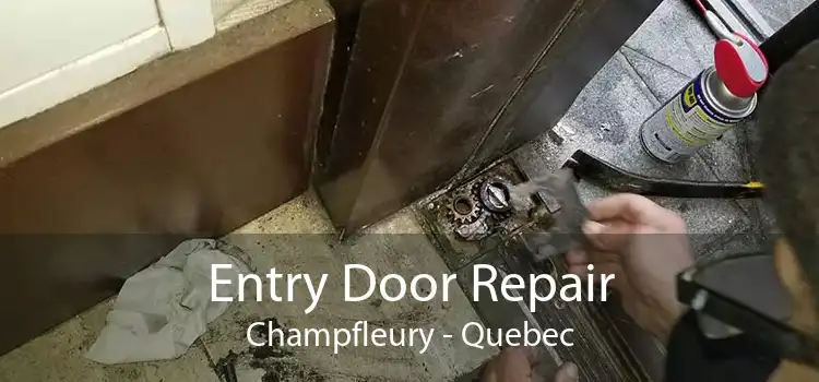 Entry Door Repair Champfleury - Quebec