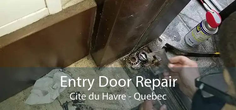 Entry Door Repair Cite du Havre - Quebec