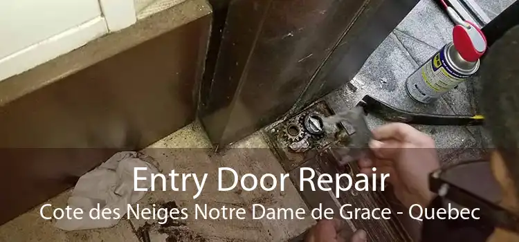 Entry Door Repair Cote des Neiges Notre Dame de Grace - Quebec