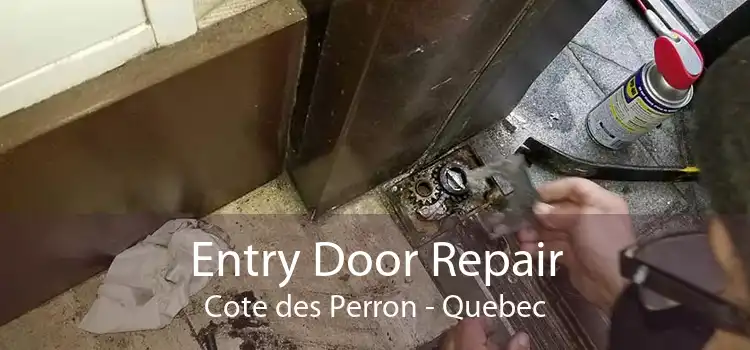 Entry Door Repair Cote des Perron - Quebec