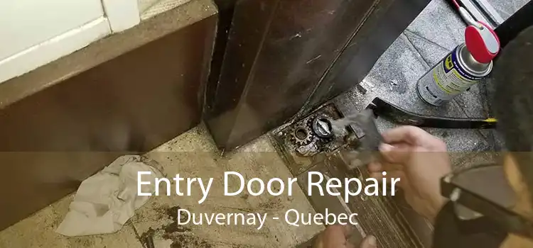 Entry Door Repair Duvernay - Quebec