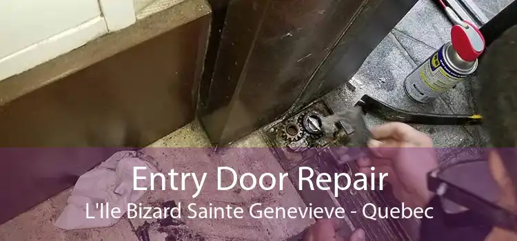 Entry Door Repair L'Ile Bizard Sainte Genevieve - Quebec