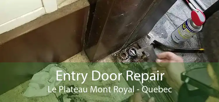 Entry Door Repair Le Plateau Mont Royal - Quebec