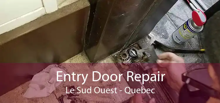 Entry Door Repair Le Sud Ouest - Quebec