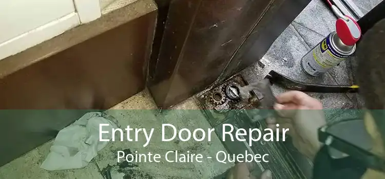 Entry Door Repair Pointe Claire - Quebec