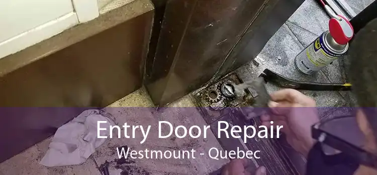 Entry Door Repair Westmount - Quebec