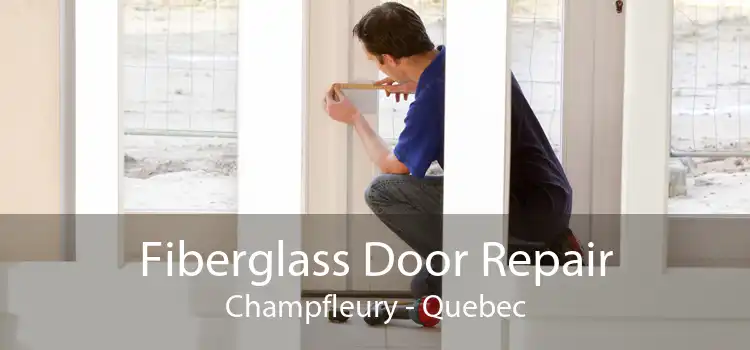 Fiberglass Door Repair Champfleury - Quebec