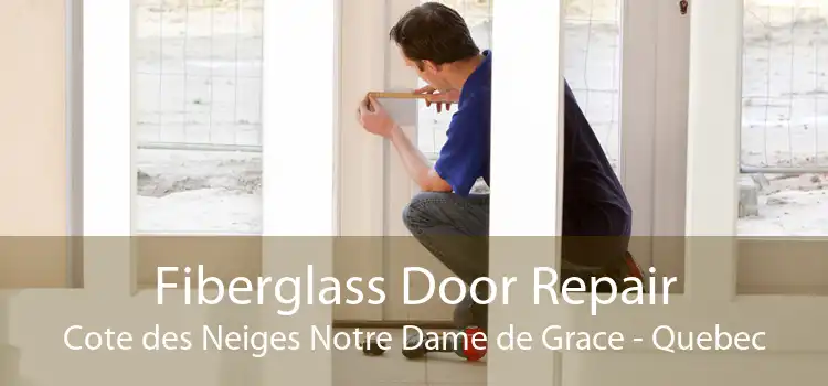 Fiberglass Door Repair Cote des Neiges Notre Dame de Grace - Quebec