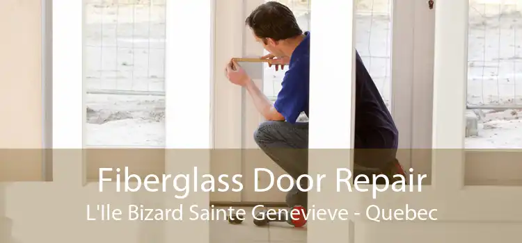 Fiberglass Door Repair L'Ile Bizard Sainte Genevieve - Quebec