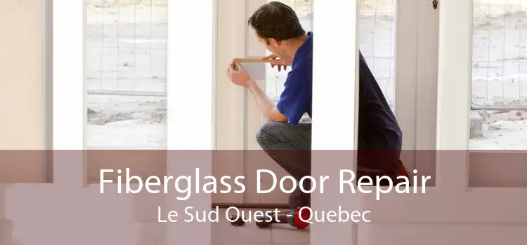 Fiberglass Door Repair Le Sud Ouest - Quebec