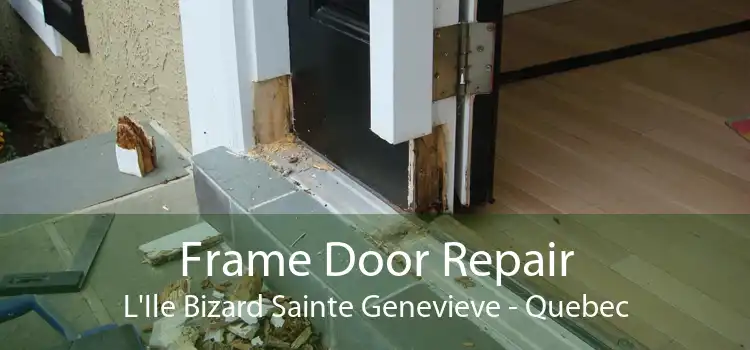 Frame Door Repair L'Ile Bizard Sainte Genevieve - Quebec