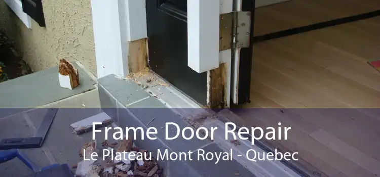 Frame Door Repair Le Plateau Mont Royal - Quebec