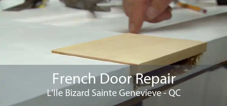 French Door Repair L'Ile Bizard Sainte Genevieve - QC