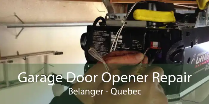 Garage Door Opener Repair Belanger - Quebec