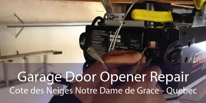 Garage Door Opener Repair Cote des Neiges Notre Dame de Grace - Quebec