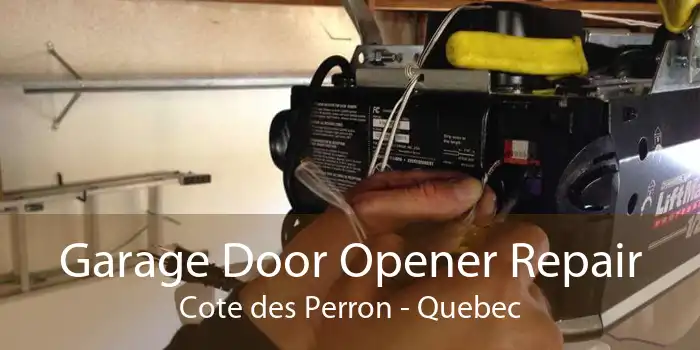 Garage Door Opener Repair Cote des Perron - Quebec