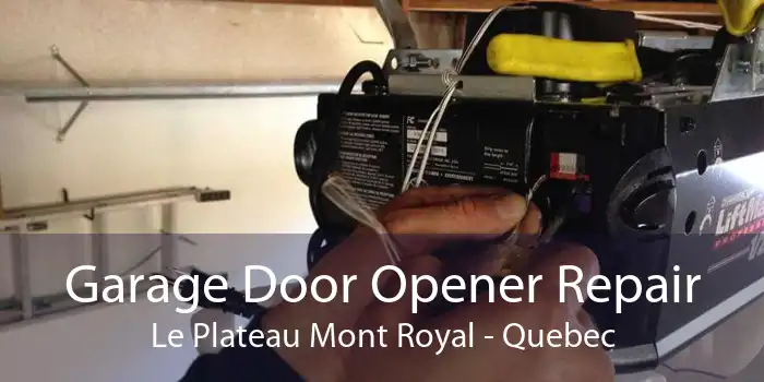 Garage Door Opener Repair Le Plateau Mont Royal - Quebec