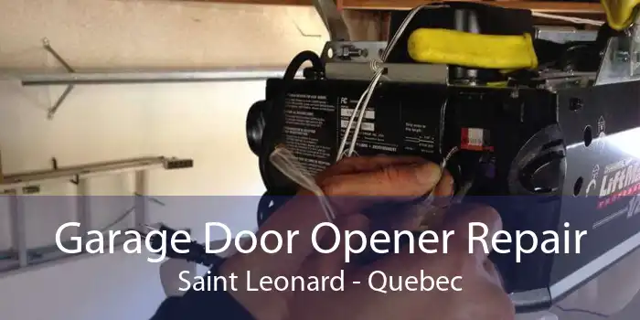 Garage Door Opener Repair Saint Leonard - Quebec