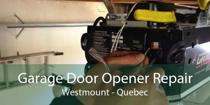 Garage Door Opener Repair Westmount - Quebec