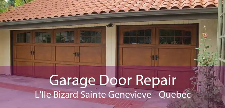 Garage Door Repair L'Ile Bizard Sainte Genevieve - Quebec