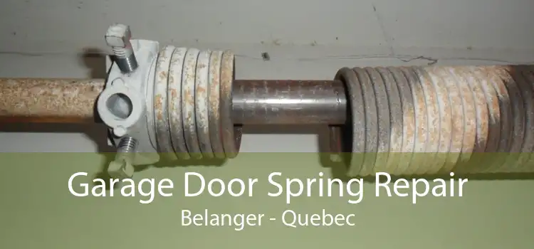 Garage Door Spring Repair Belanger - Quebec