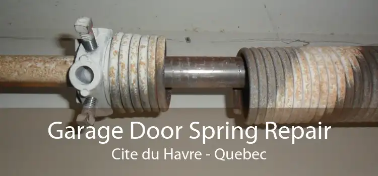 Garage Door Spring Repair Cite du Havre - Quebec