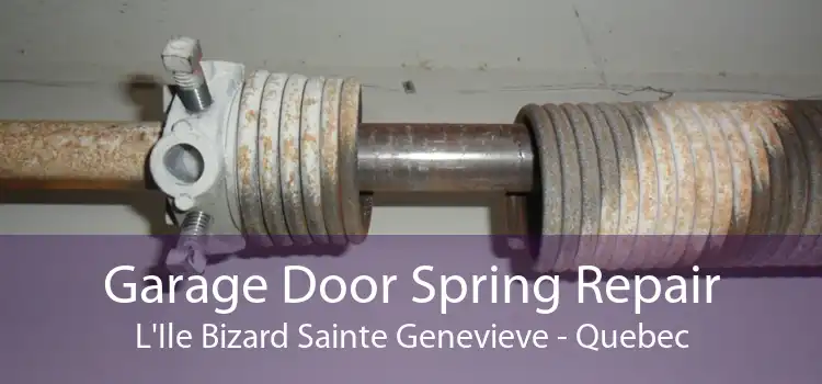 Garage Door Spring Repair L'Ile Bizard Sainte Genevieve - Quebec