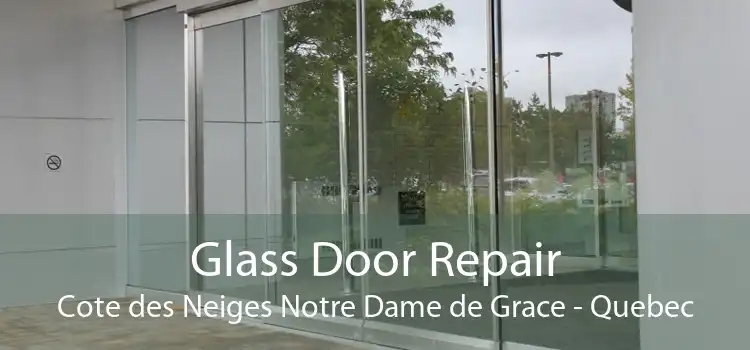 Glass Door Repair Cote des Neiges Notre Dame de Grace - Quebec