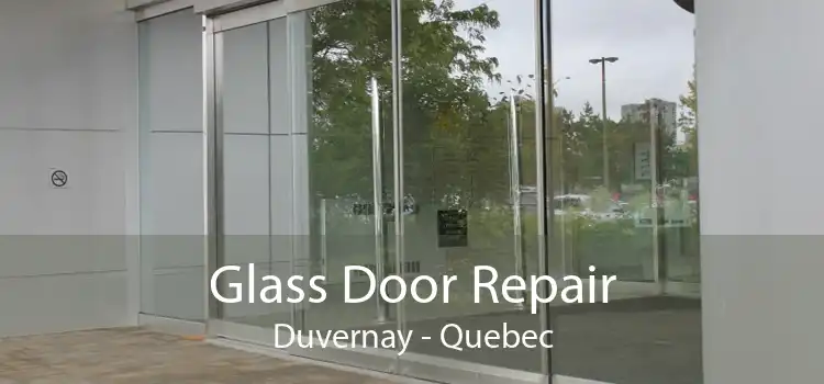 Glass Door Repair Duvernay - Quebec