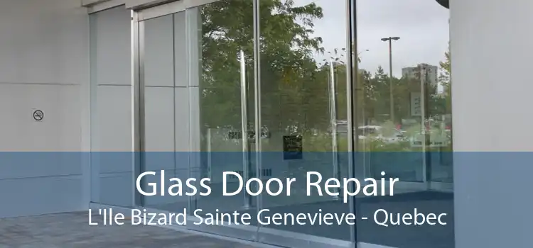 Glass Door Repair L'Ile Bizard Sainte Genevieve - Quebec