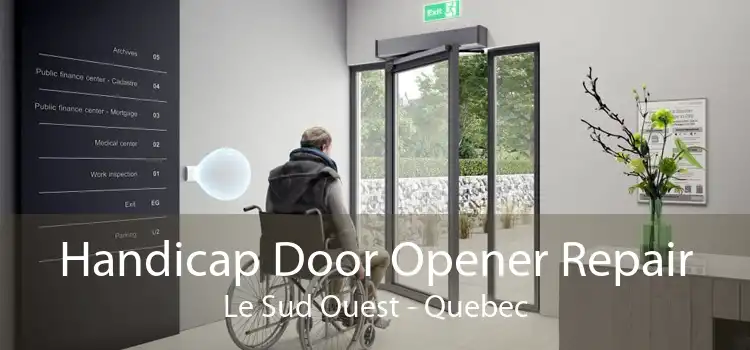 Handicap Door Opener Repair Le Sud Ouest - Quebec