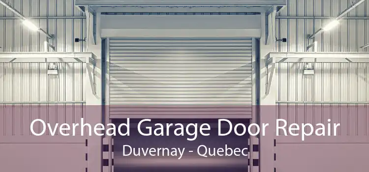 Overhead Garage Door Repair Duvernay - Quebec