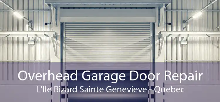 Overhead Garage Door Repair L'Ile Bizard Sainte Genevieve - Quebec