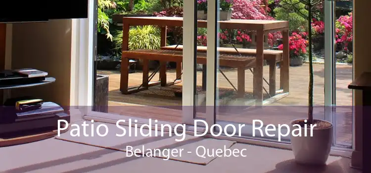 Patio Sliding Door Repair Belanger - Quebec