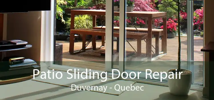 Patio Sliding Door Repair Duvernay - Quebec