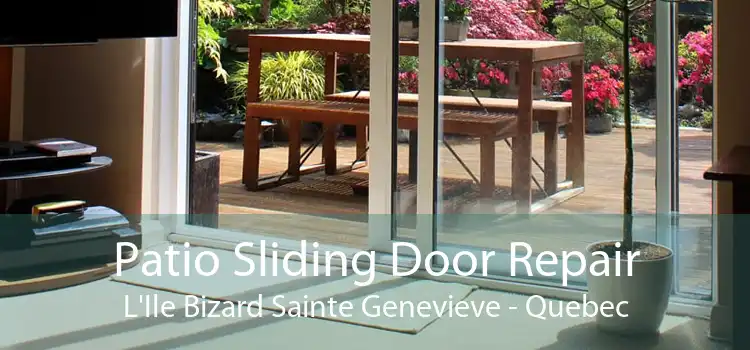 Patio Sliding Door Repair L'Ile Bizard Sainte Genevieve - Quebec