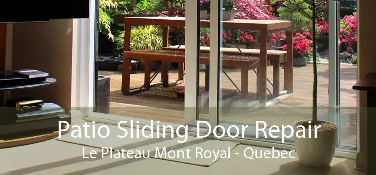 Patio Sliding Door Repair Le Plateau Mont Royal - Quebec