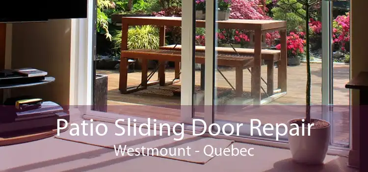 Patio Sliding Door Repair Westmount - Quebec