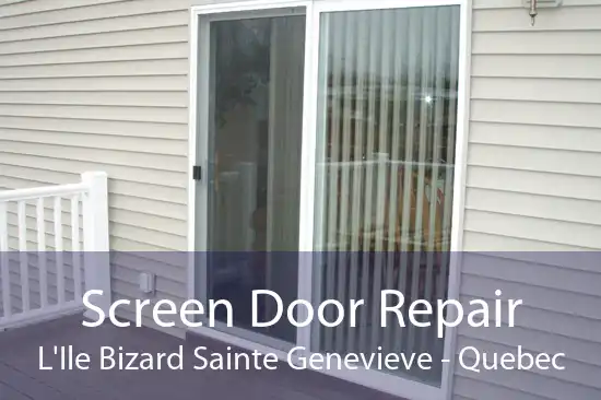 Screen Door Repair L'Ile Bizard Sainte Genevieve - Quebec