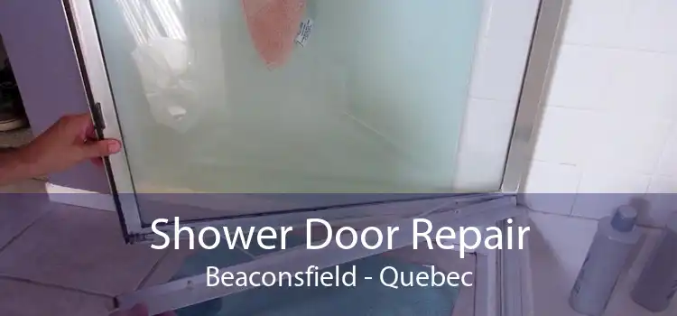 Shower Door Repair Beaconsfield - Quebec