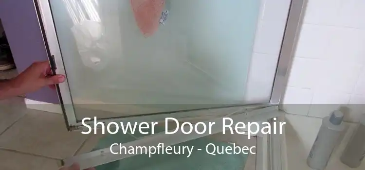 Shower Door Repair Champfleury - Quebec