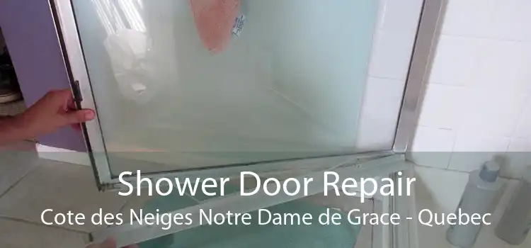 Shower Door Repair Cote des Neiges Notre Dame de Grace - Quebec